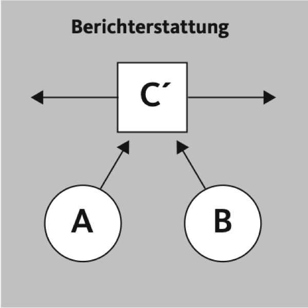 Abbildung 1: Symmetrische Beziehung zwischen Parteien und Berichterstatter