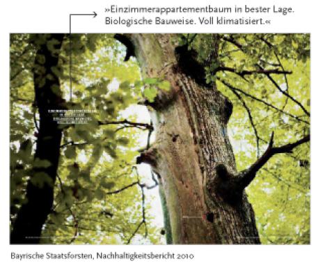 Abbildung 5