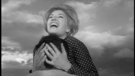 Antonioni, Michelangelo: L'avventura. 1960. DVD. The Criterion Collection.